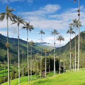 🧳Quindío y Antioquia | 5 Días / 4 Noches