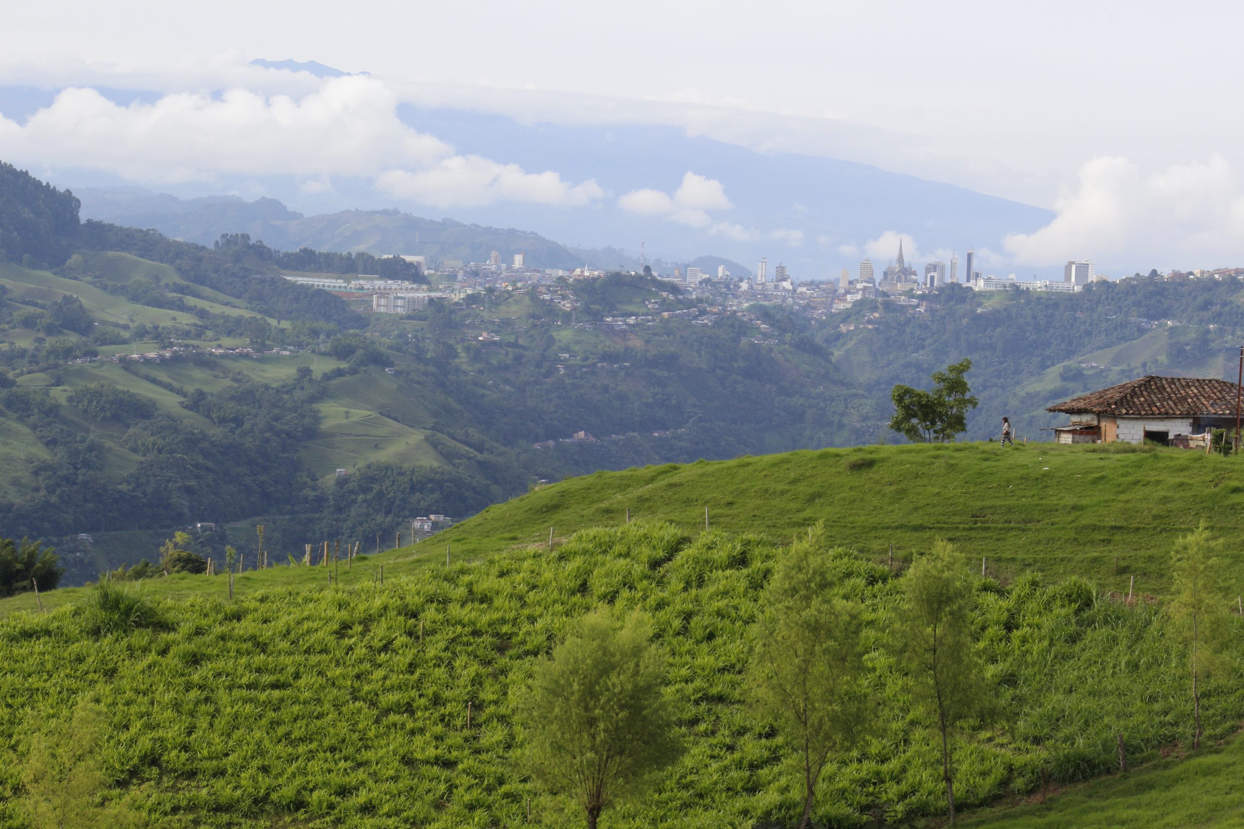 🧳 Eje Cafetero 4 Días 3 Noches (Salidas Miércoles/Jueves y Domingos)